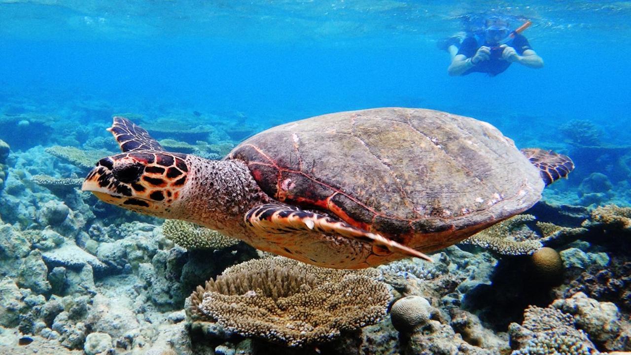 Dharavandhoo Stay 외부 사진