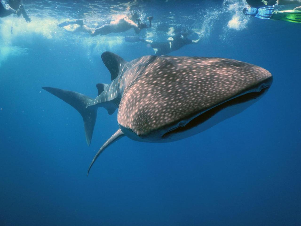 Dharavandhoo Stay 외부 사진