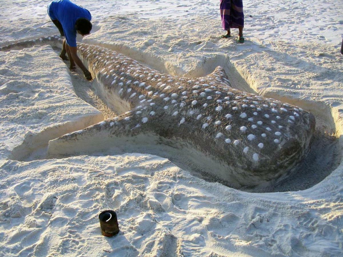 Dharavandhoo Stay 외부 사진